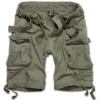 BRANDIT Savage Shorts Oliv